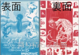チラシ類 : ページ1 | 降り積もる地層