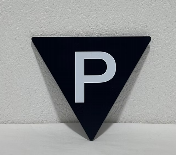 平沢進 核P-MODEL 非コード人のアコード マフラー 核P-MODEL「unZIP」発売