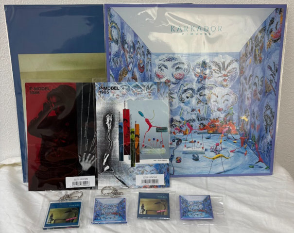 売れ筋・人気アイテム 商品 KARKADOR」「ONE PATTERN」リマスター発売特典 | 降り積もる地層 邦楽