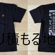 P-MODELロゴステッカー（2種） 1995年 | 降り積もる地層