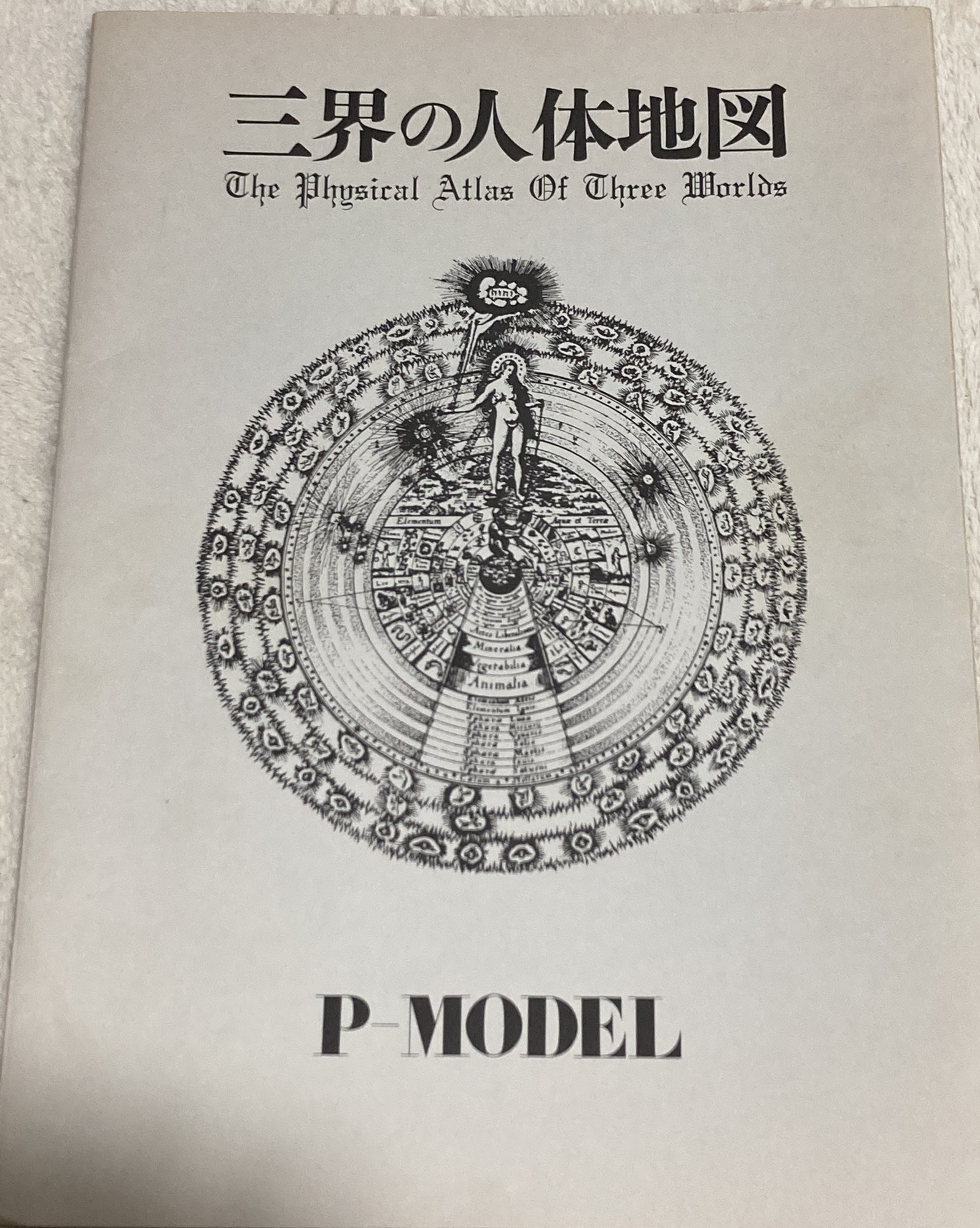 公式パンフレット/小冊子 | 降り積もる地層