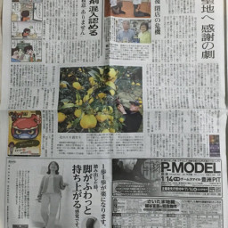 掲載雑誌 ページ8 降り積もる地層