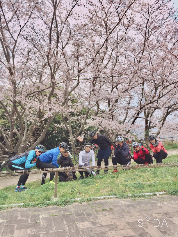 19 3 31 足立山 小倉城お花見ライド Team フレッチャ Freccia Cycle Team