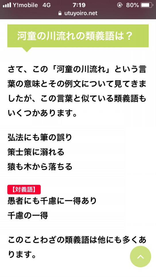 最速 河童の川流れ 類語 ことわざ