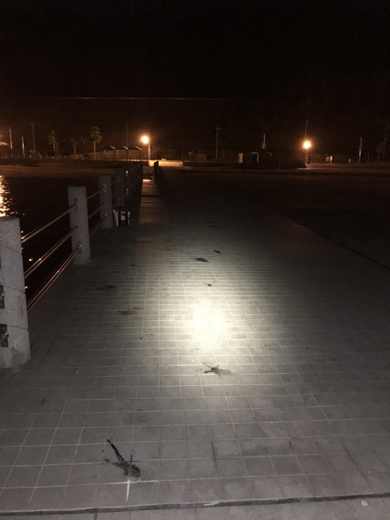 ベイサイドビーチ 坂 小屋浦 エギング 広島 コジコジの釣り日記