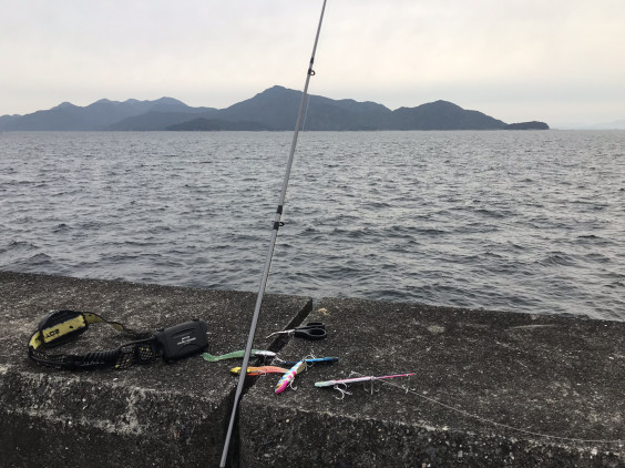 大竹 ショアジギング 広島 コジコジの釣り日記