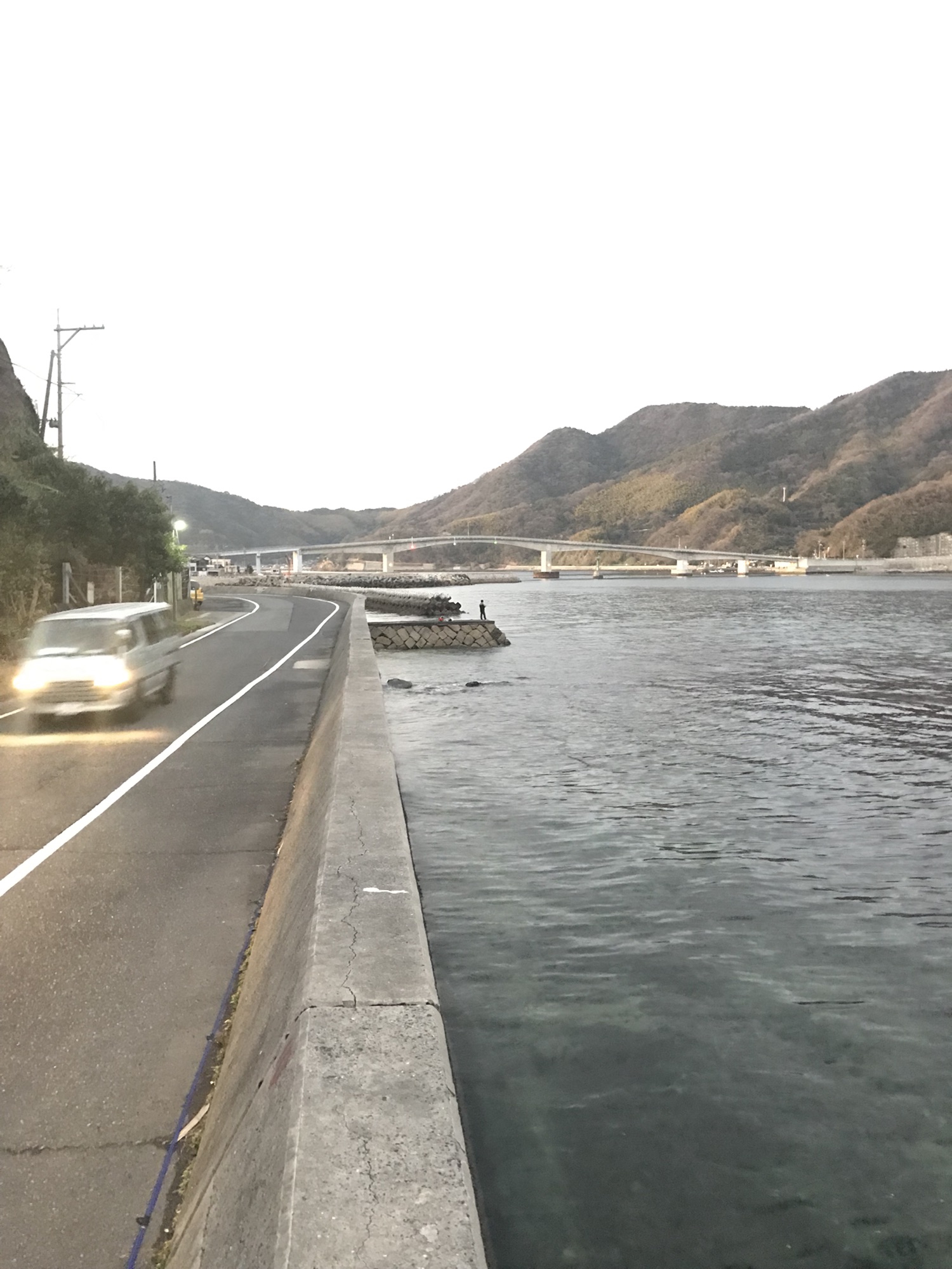 山口 周防大島 沖家室 アジング メバリング 広島 コジコジの釣り日記