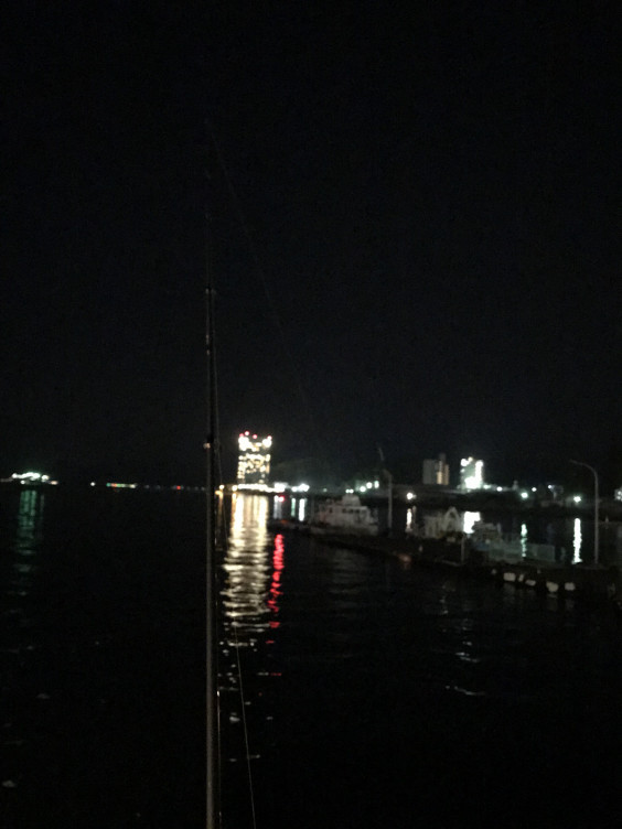 宇品港 スルメイカ エギング 広島 コジコジの釣り日記