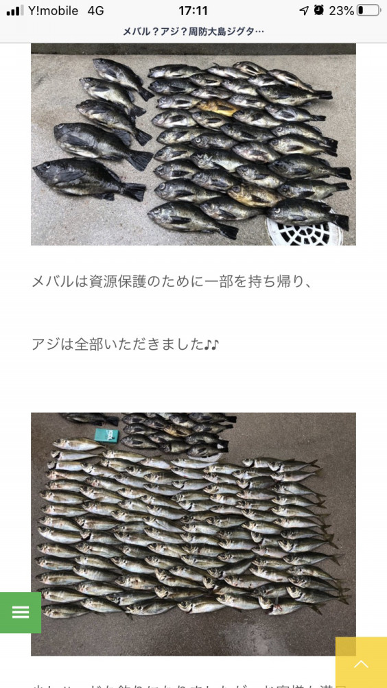 山口 大島 アジング メバル 広島 コジコジの釣り日記