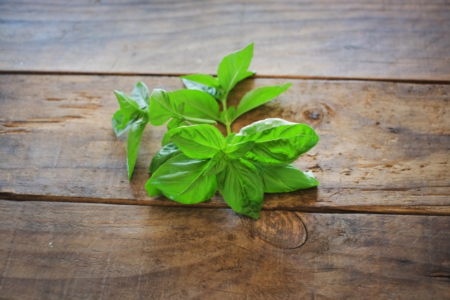ヤングリヴィングの評判 バジルのエッセンシャルオイル編 アロマlife