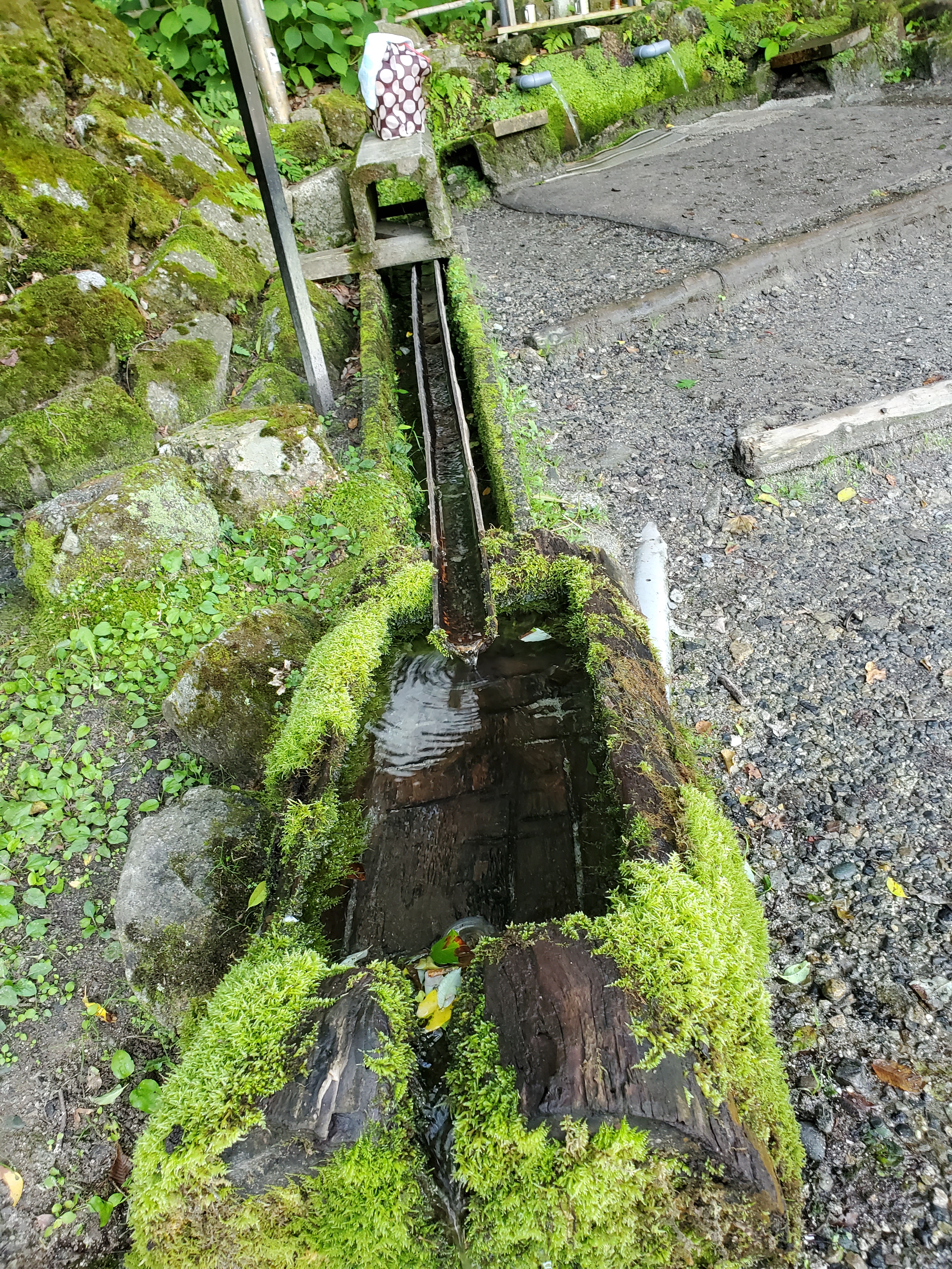 長野・阿智村】清内路一番清水 | 東海地方から、お水取り。