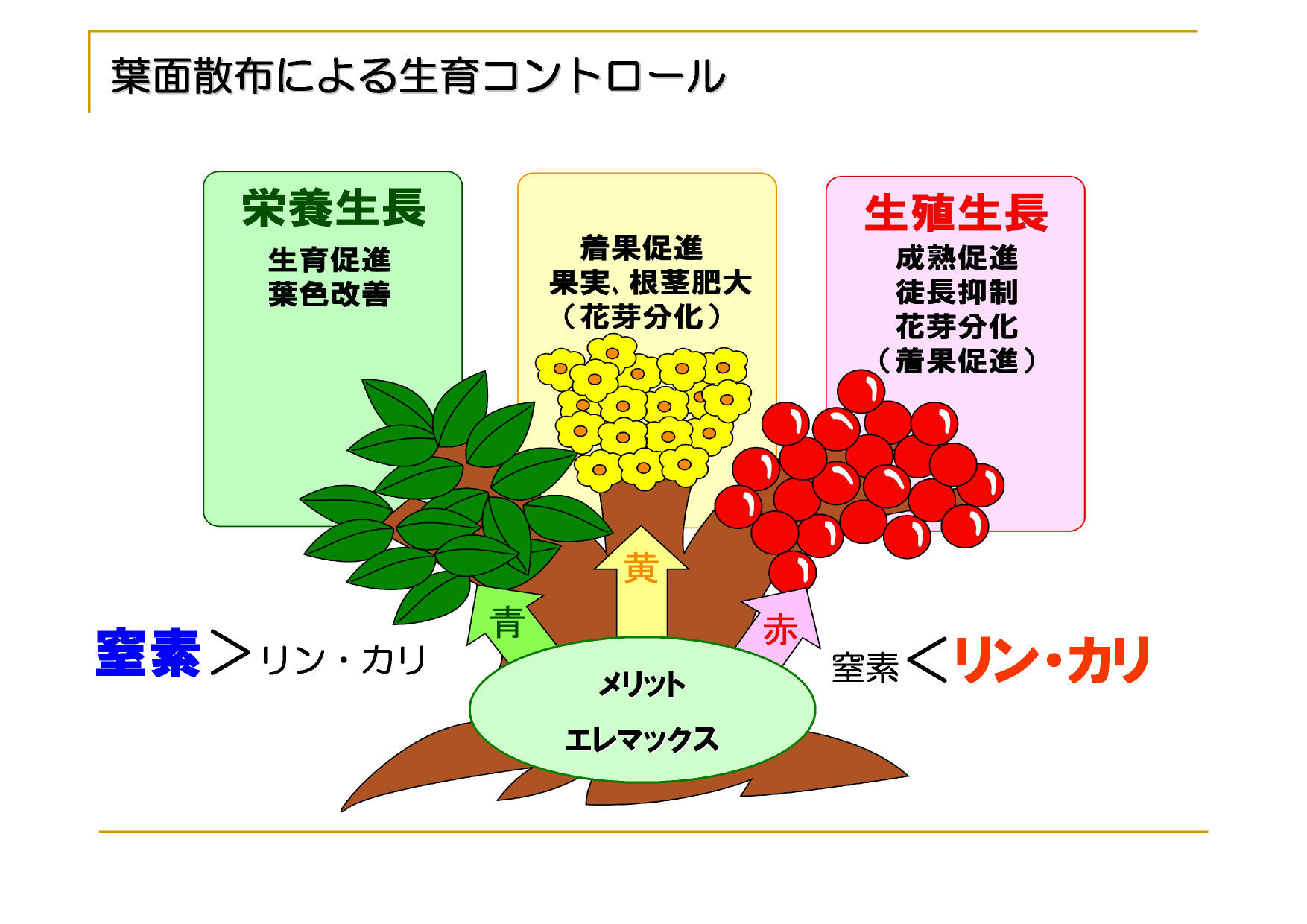 葉面散布肥料 | ㈱茨城生科研・AGRI WORＬＤ