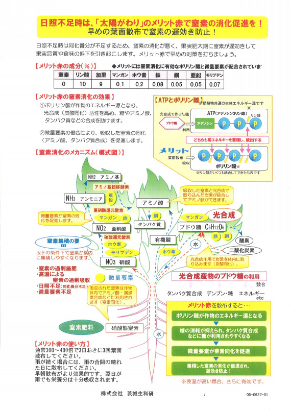 日照不足 低温対策情報 茨城生科研 Agri Worｌｄ