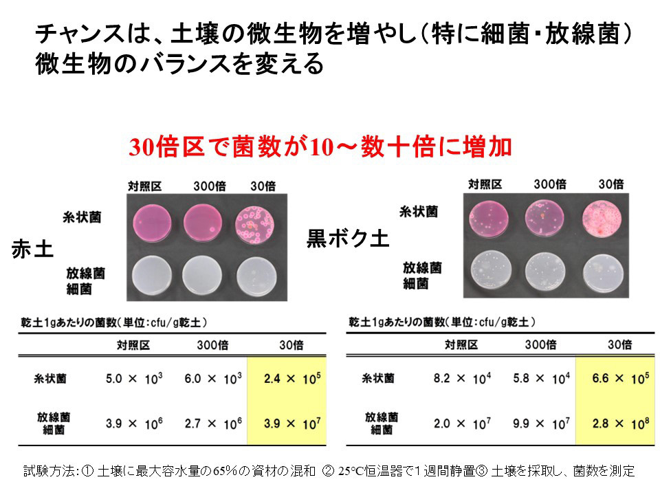 商品紹介 粒状チャンスsxからのネギ 茨城生科研 Agri World