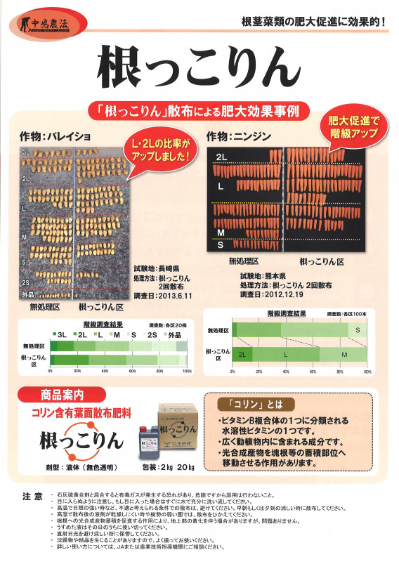 2021人気新作 肥料 根っこりん 20kg コリン含 液肥 液体肥料 根茎菜類 野菜 果実 果物 生科研 fucoa.cl