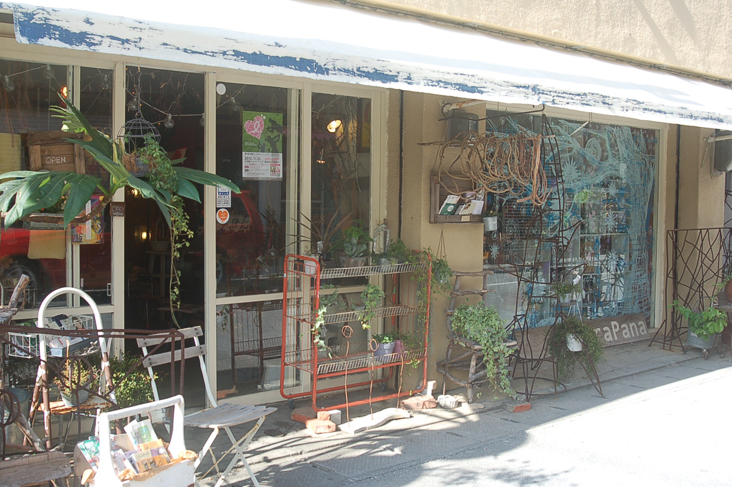 県庁前駅のステキなお花屋さんまとめ 深夜まで営業の店も Pathee パシー 県庁前駅のステキなお花屋さんまとめ 深夜まで営業の店も Pathee パシー