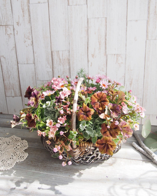 種類色々楽しいキレイ ペチュニア Green Heart