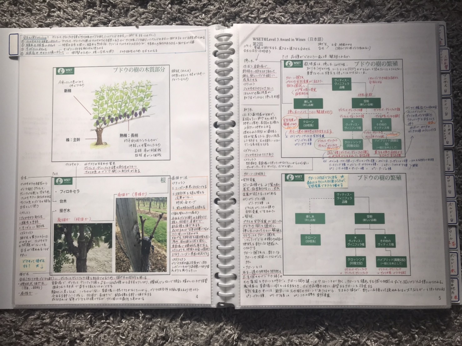 WSET Level3】合格体験記 理解⇒暗記⇒実践 | 紫貴あき：夢を叶えるブログ