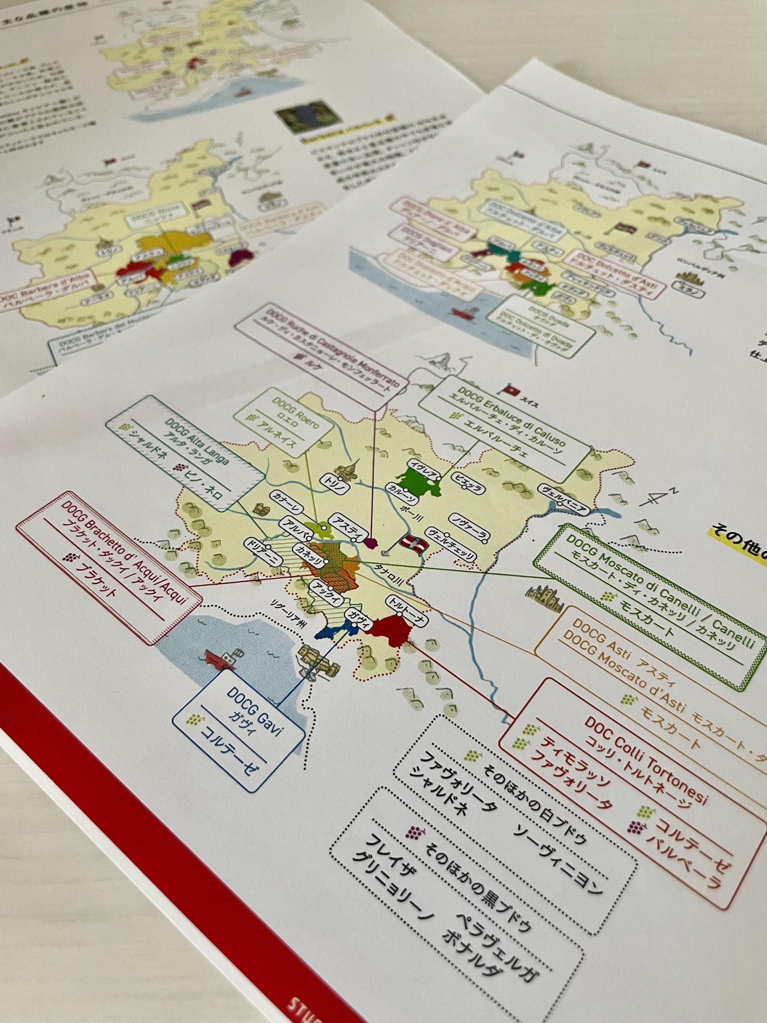 イタリアワイン通信講座 テキスト試読専用ページ ｜Vino Hayashi