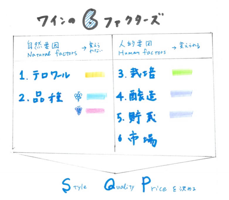 WSET Level 3 テキスト WSETレベル3のテキスト購入方法とテキスト電子化のメリット
