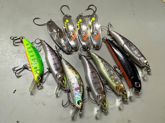 リール Mr.Boo $_12.JPG?set_id=880000500F