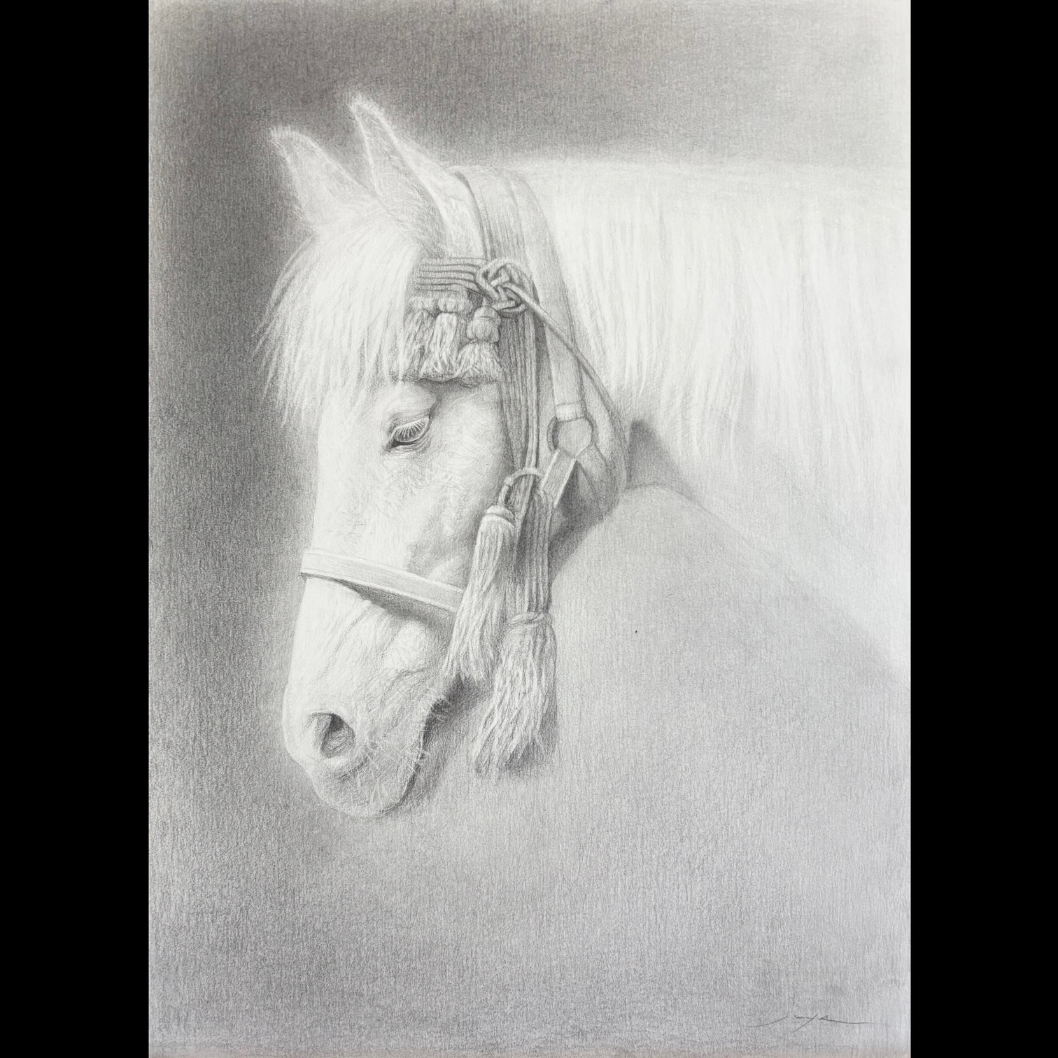 展覧会 | 中野 淳也 Junya Nakano