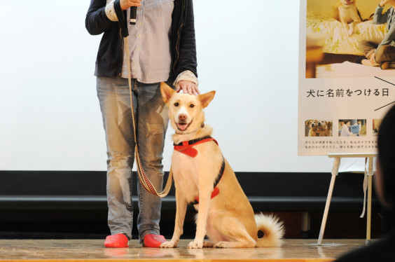 現役高校生と考える 犬と共に生きる とは Inutonekoto