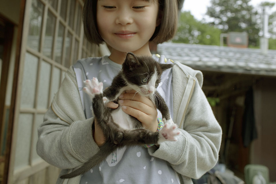 石井桃子原作『山のトムさん』にみる豊かな暮らし | INUTONEKOTO