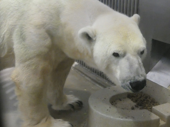 I Love Higashiyama Zoo I Love Higashiyama Zoo
