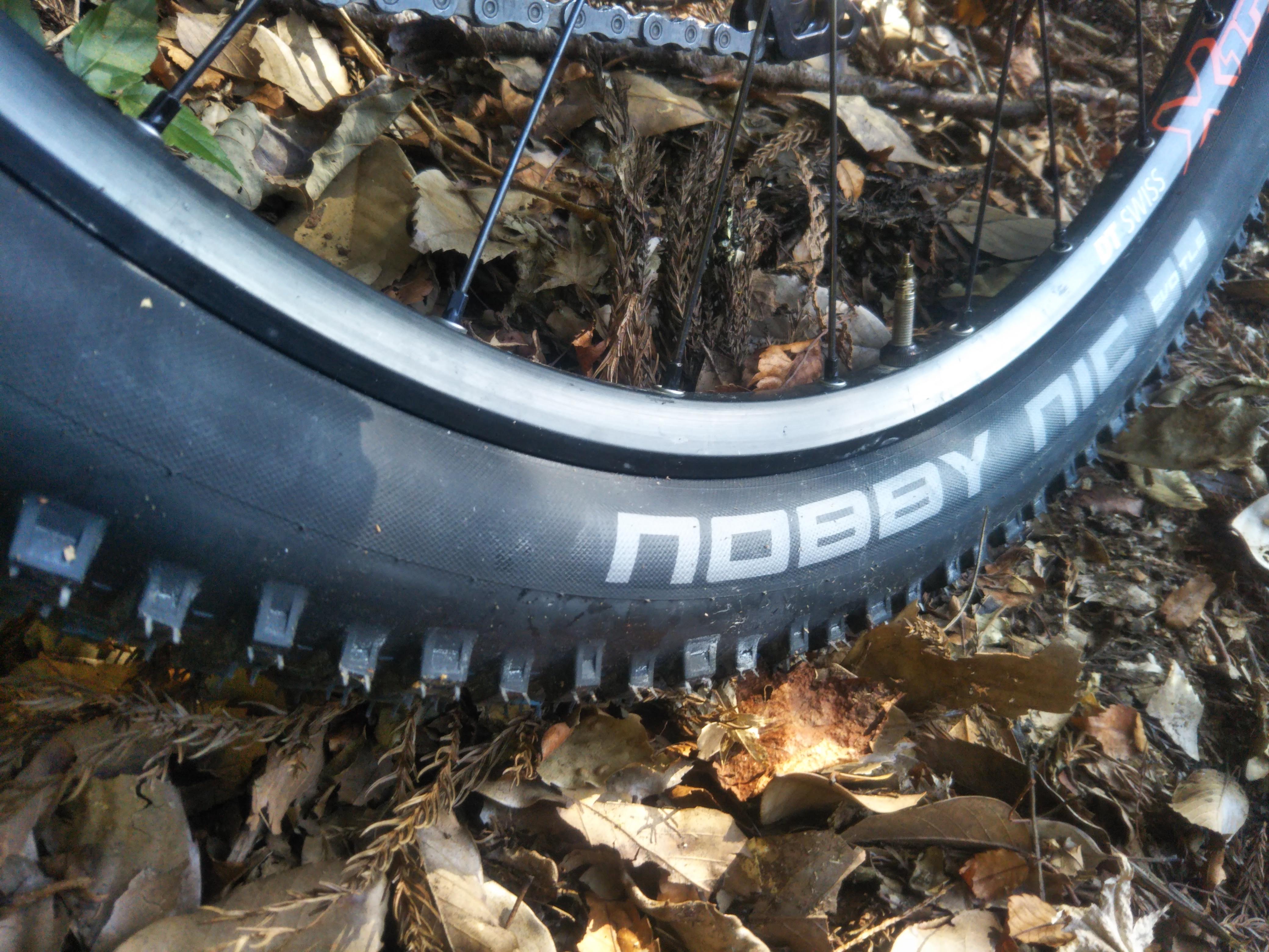 SCHWALBE シュワルベ HANS DAMPF ハンスダンプ 29x2.35 ブロンズ