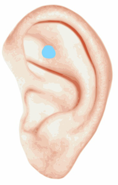 受験で使える耳つぼ 緊張をほぐす Mimi専科 見える耳掃除サロン みみせんか Jeb認定イヤーエステサロン 受験で使える耳つぼ 緊張をほぐす Mimi専科 見える耳掃除サロン みみせんか Jeb認定イヤーエステサロン