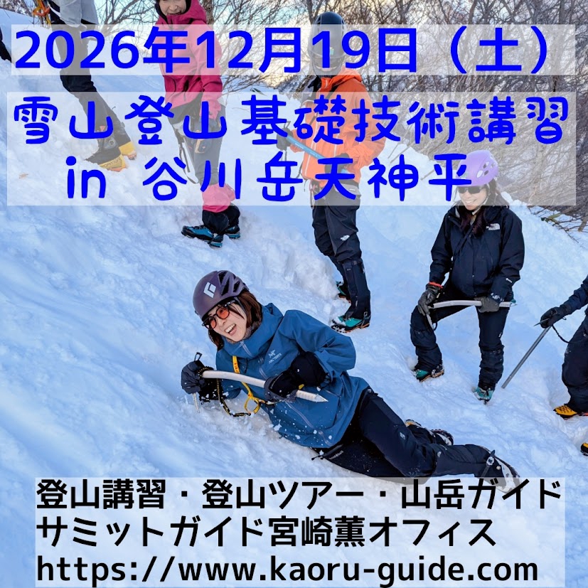 3b7e498d84c85cc489a939ae73410a