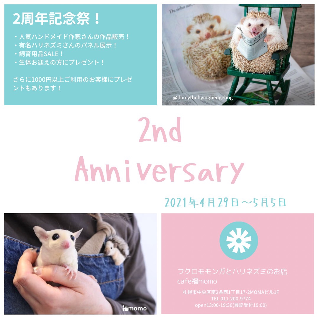 イベント】福momo2周年記念祭 | Flying Hedgehogs