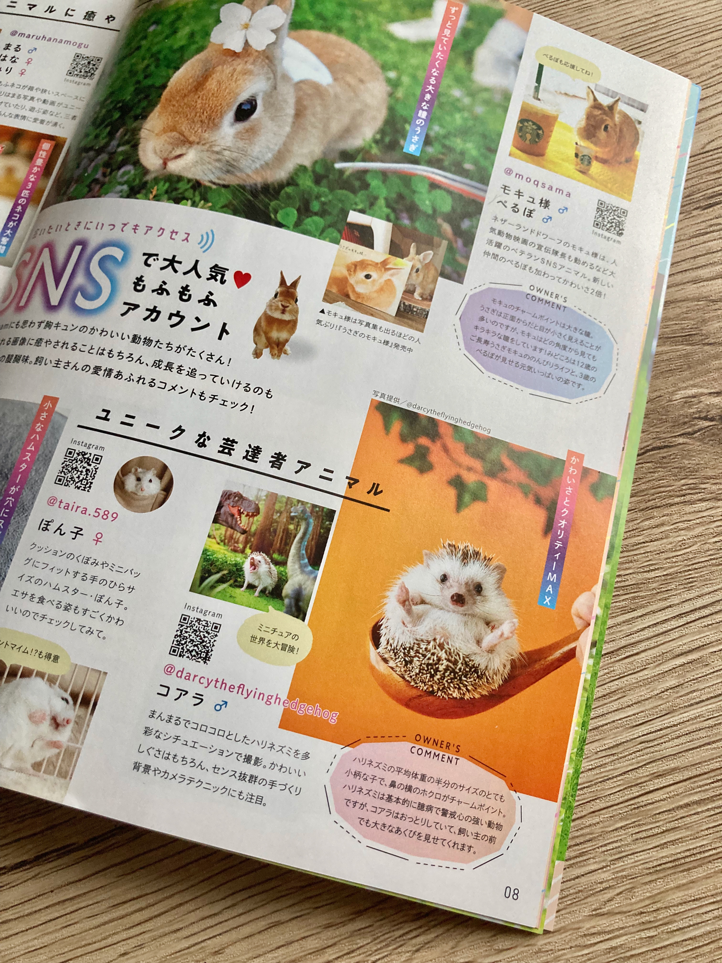 【掲載】るるぶ もふ旅 かわいい動物に会いにいく | Flying Hedgehogs