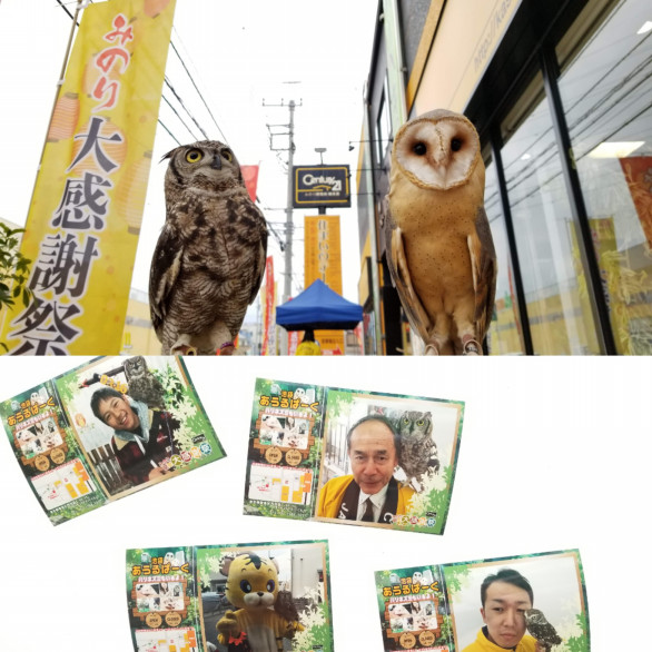 出張フクロウ 移動フクロウカフェ 移動動物園ふれあい体験の相談 あうるぱーく フクロウカフェ池袋 東京 Owlpark Owl Cafe Ikebukuro 公式