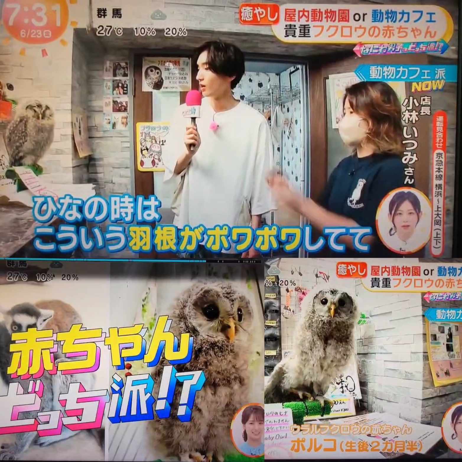 めざましテレビ『なにわ男子のどっち派!?』紹介されました | 体験型