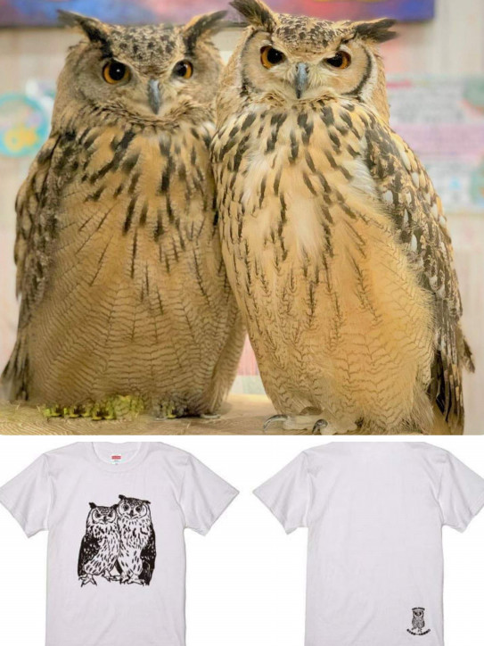 可愛いふくろうオリジナルtシャツ 東京フクロウカフェ あうるぱーく フクロウカフェ池袋 公式 Owlpark Owl Cafe Ikebukuro
