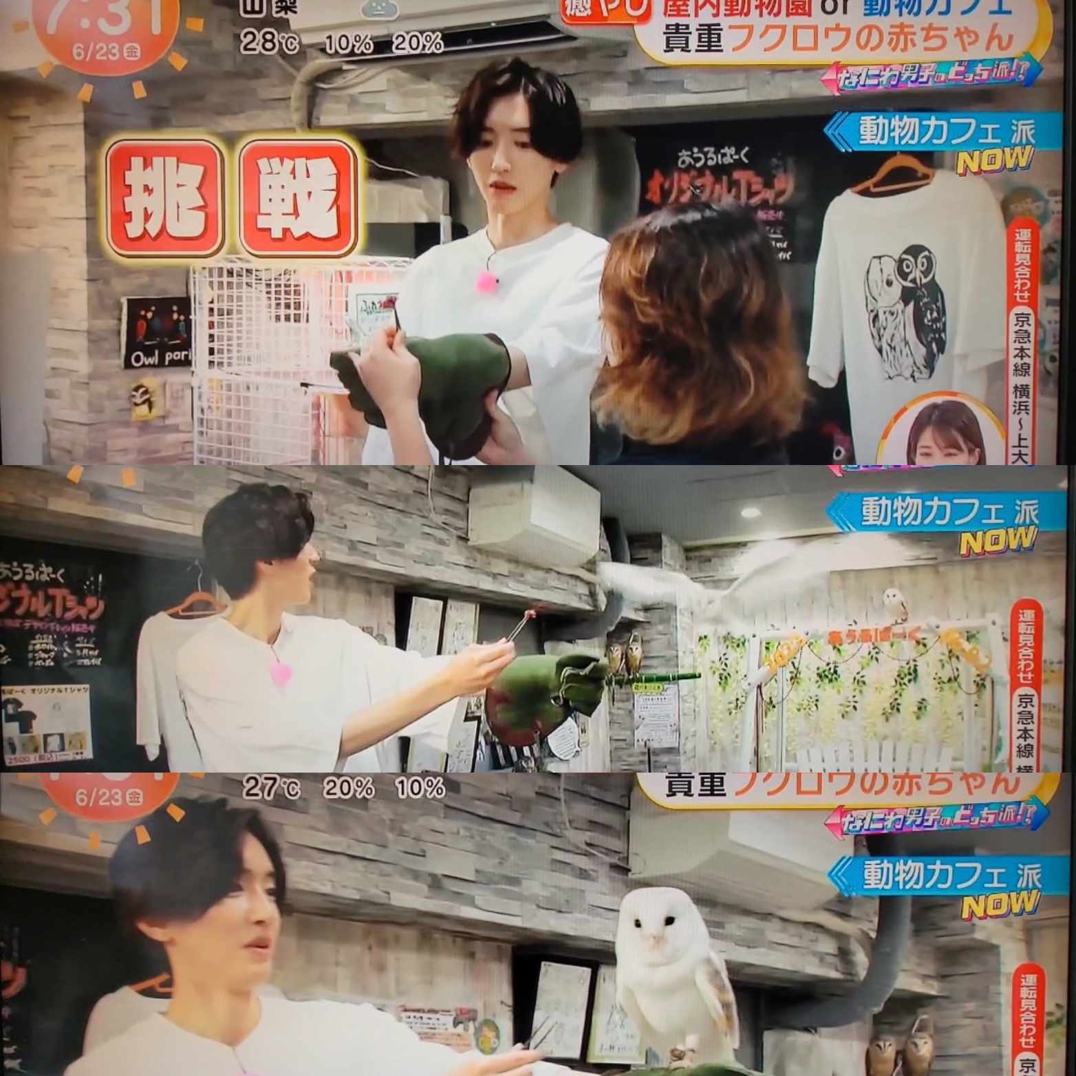 めざましテレビ『なにわ男子のどっち派!?』紹介されました | 体験型