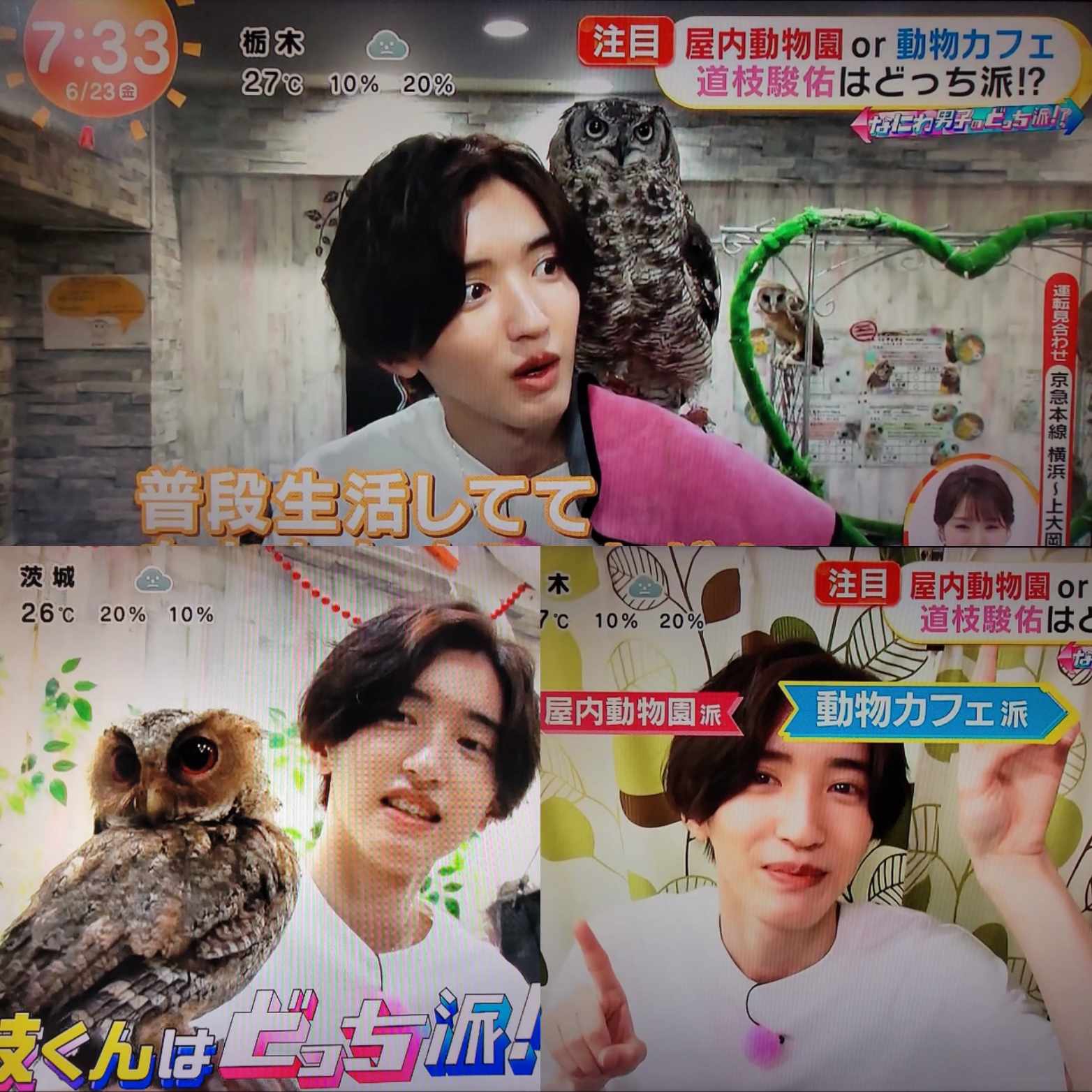 めざましテレビ『なにわ男子のどっち派!?』紹介されました | 体験型