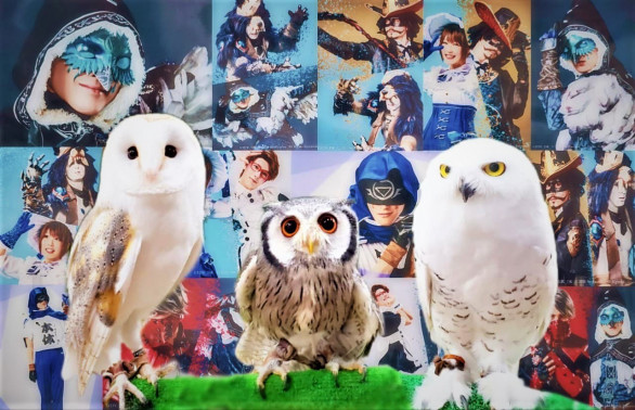 2 5次元 舞台第五人格 使い鳥役 フクロウ 東京フクロウカフェ あうるぱーく フクロウカフェ池袋 公式 Owlpark Owl Cafe Ikebukuro