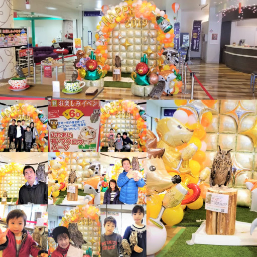移動動物ふれあい体験 あうるぱーく フクロウカフェ池袋 東京 Owlpark Owl Cafe Ikebukuro 公式 移動動物ふれあい体験 あうるぱーく フクロウカフェ池袋 東京 Owlpark Owl Cafe Ikebukuro 公式