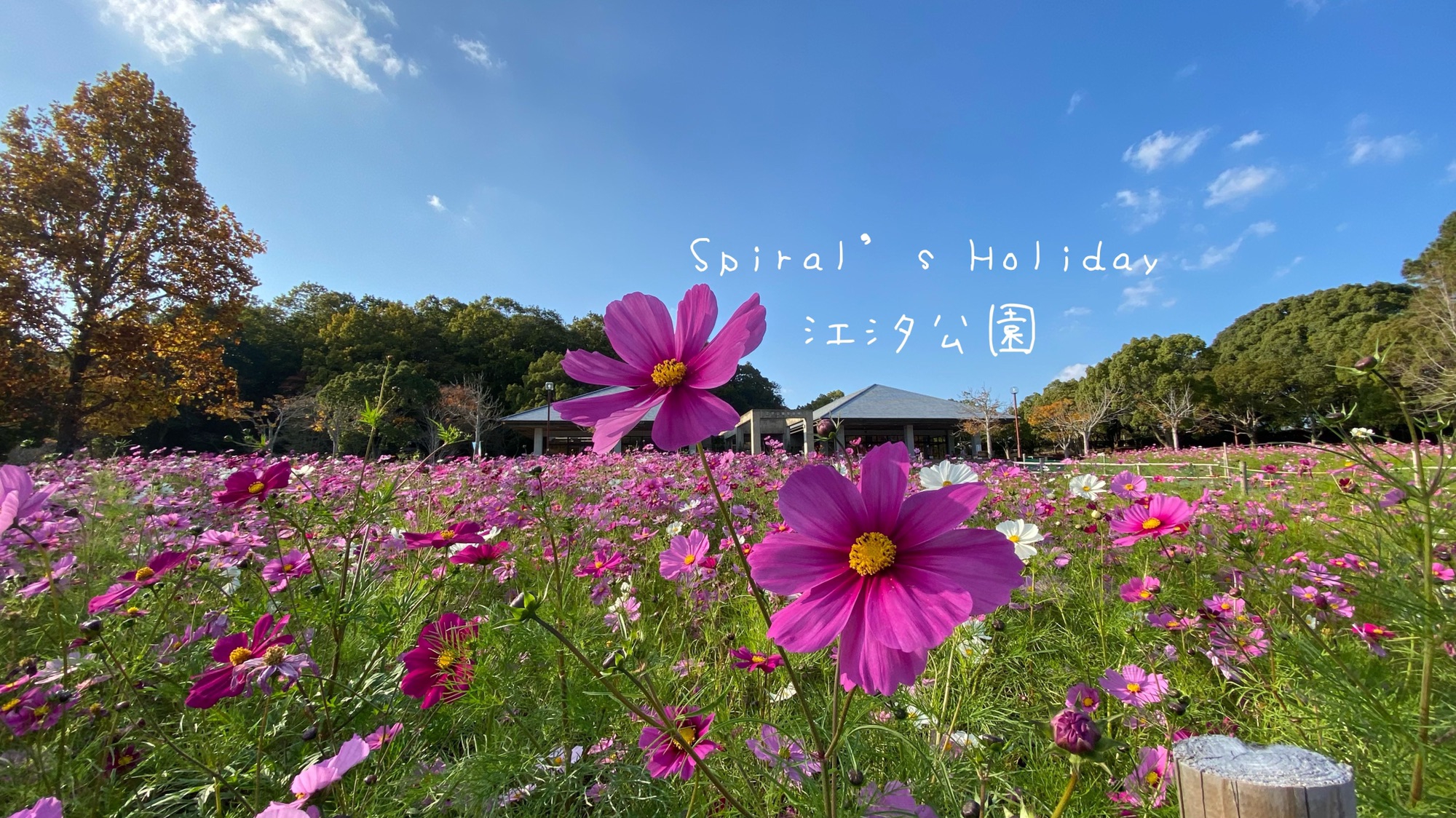 d2142a2df0ae3687f7d8f9a104a01f