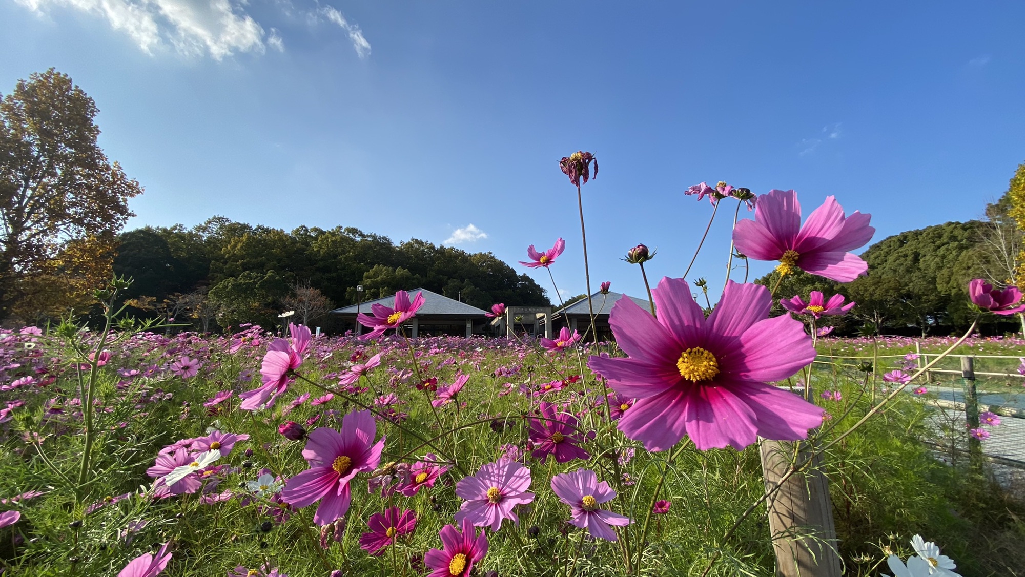 dee2f92cabfa727786c2503d077f55