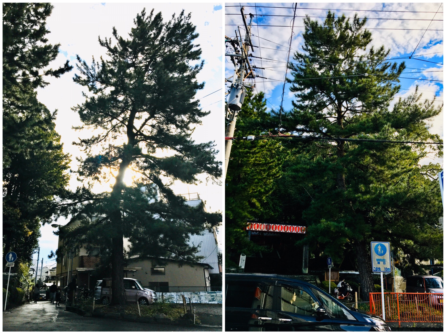 和本 五海道中細見記 大城屋良助 安政五年初冬初刊 東海道 中山道 甲州道中 五海道中細見記(江戸講元発起人／大城屋良助) / 古本、中古本