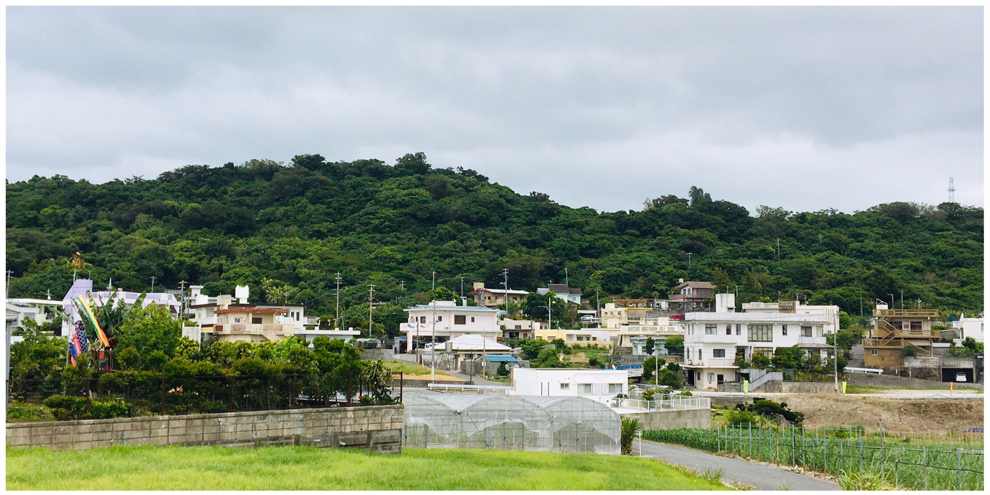 【中古】 辺境コミュニティの維持 島嶼、農村、高地のコミュニティを支える「つながり」/ボーダーインク/本村真 島嶼地域科学研究所ライブラリ 『辺境コミュニティの維持―島嶼