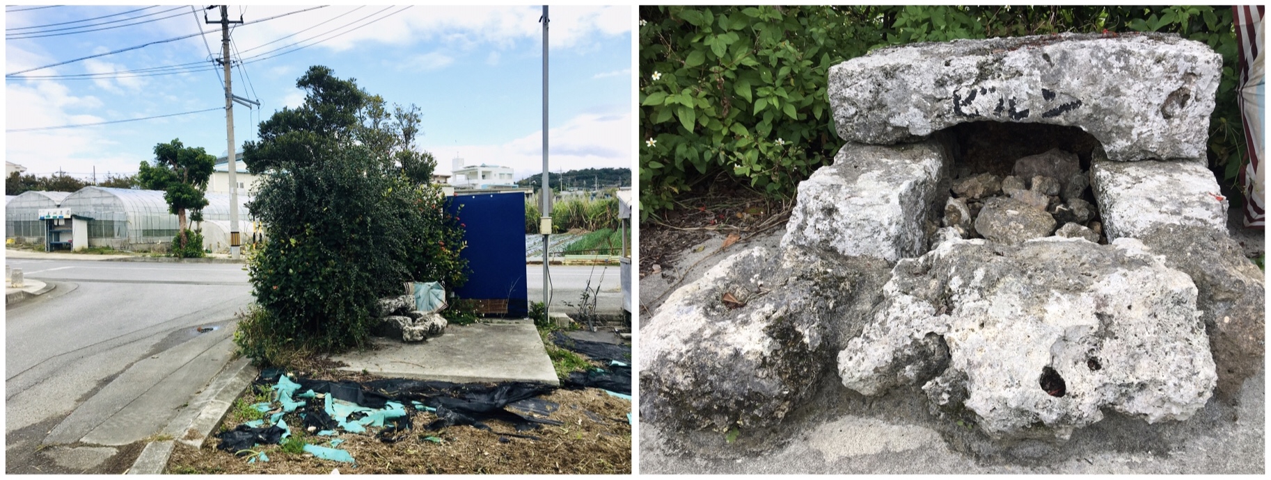 Okinawa 沖縄 #2 Day 70 (16/01/21) 旧高嶺村 (3) Oozato Hamlet 大里