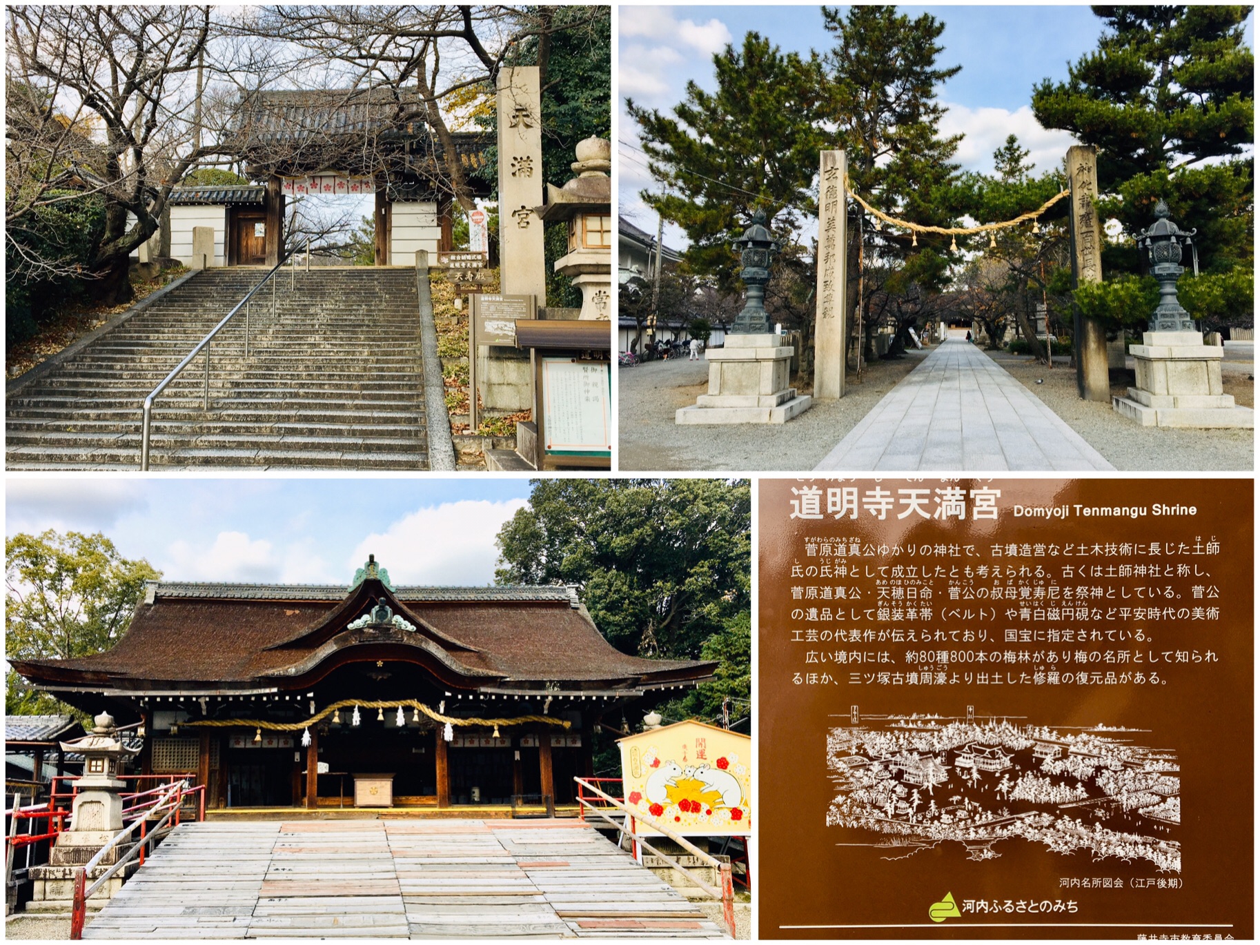 事代主の伊豆建国: 関東の社寺と古代史 | 谷 日佐彦 |本 | 通販