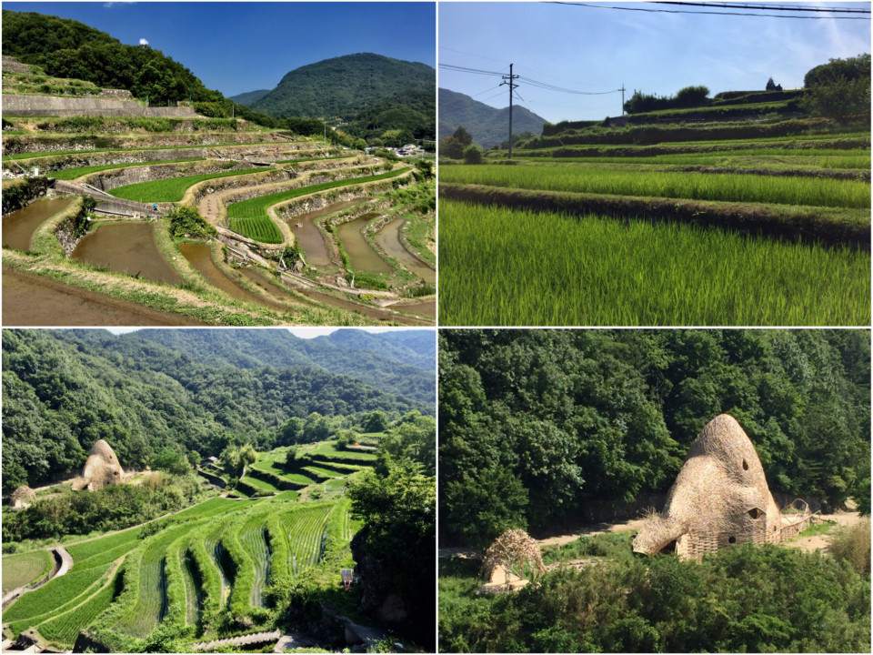 Ride In Setouchi San In Day 97 6 19 Nakayama Village 中山千枚田 Kazu Bike Journey