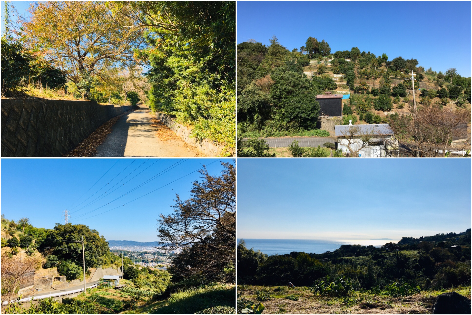 Tokaido 東海道 10 (8/11/19) Ishigakiyama Castle Ruins 石垣山 Tokaido 東海道 10 (8/11/19) Ishigakiyama Castle Ruins 石垣山