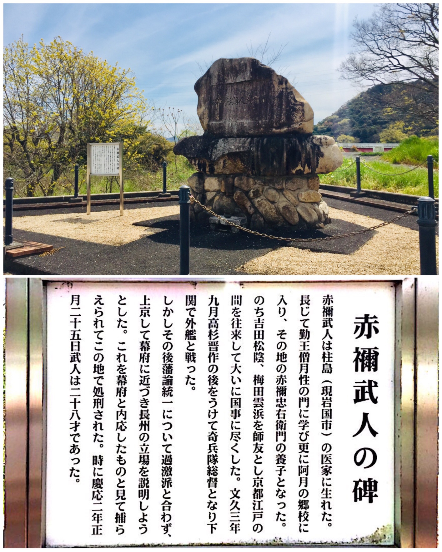 レア♦︎家運隆昌•家門繁栄の守護石小樹胶花福財秘宝★神秘のデンドリティッククォーツ レア♦︎家運隆昌•家門繁栄の守護石小樹胶花福財秘宝
